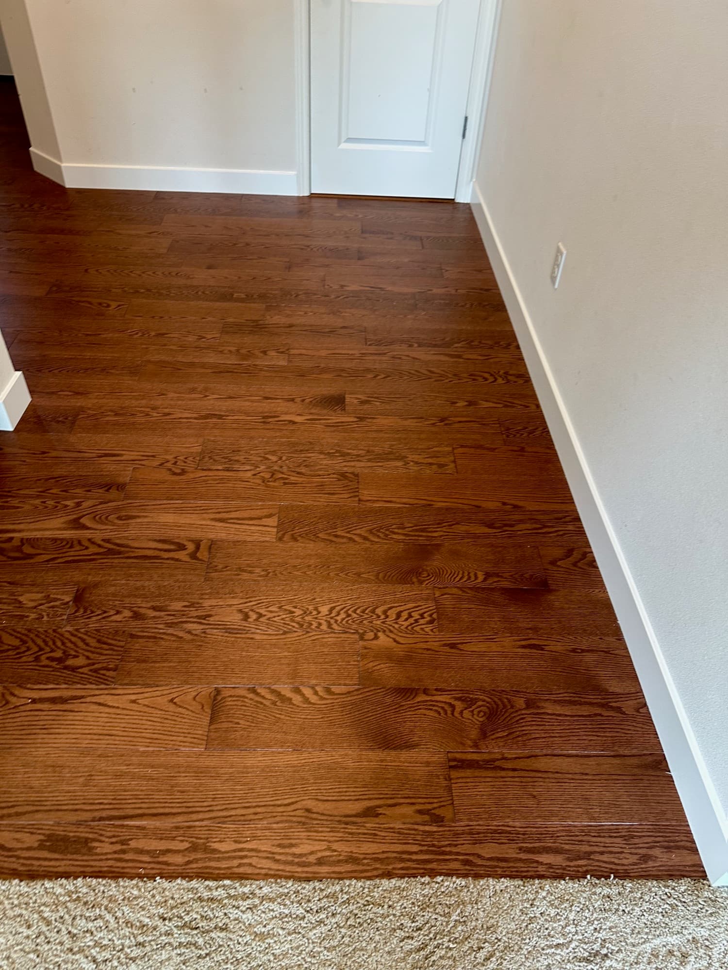 Close view of stained oak hardwood meeting the baseboard and a carpet transition